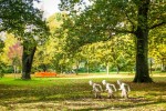 Skulpturen Park Cologne